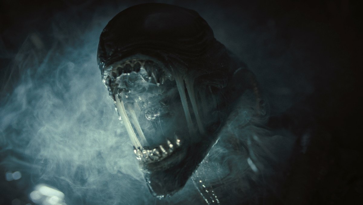 A roaring Xenomorph in Alien: Romulus