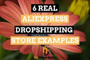 6 Real AliExpress Dropshipping Store Examples in 2021 | Inspiration