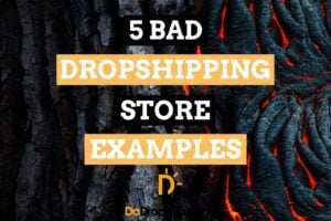 5 Bad Dropshipping Store Examples & What They Can Improve | Inspiration