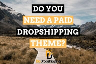 Do You Need a Paid Dropshipping Theme? or Is a Free Theme Ok in 2021?