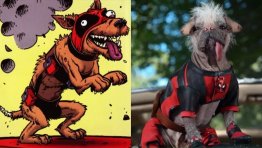 Who Is DEADPOOL 3’s Dogpool? Marvel’s Mutant Mutt, Explained