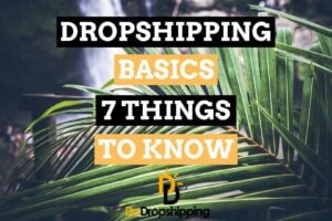 Dropshipping Basics: 7 Things to Know as a Dropshipping Beginner in 2021!