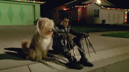 Does EDWARD SCISSORHANDS Qualify as a Christmas Movie?