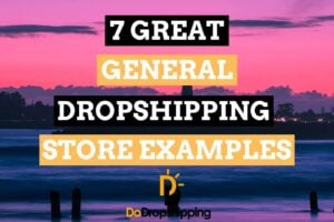 7 Great General Dropshipping Store Examples | Inspiration