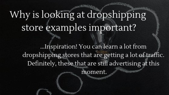 learn why looking at dropshipping store examples is important
