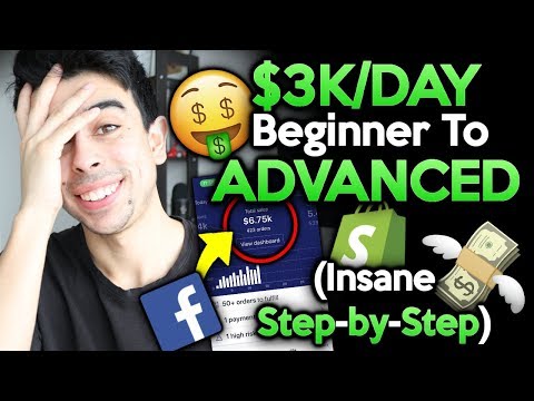 (FREE Course) $3k/day Beginner To Advanced Step By Step | Shopify Dropshipping 2019