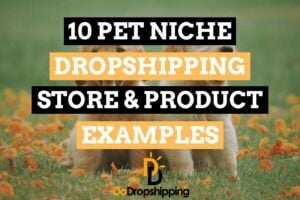 10 Pet Niche Dropshipping Store & Product Examples in 2021!