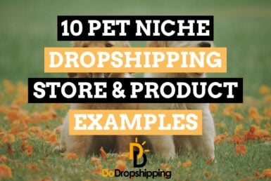 10 Pet Niche Dropshipping Store & Product Examples in 2021!
