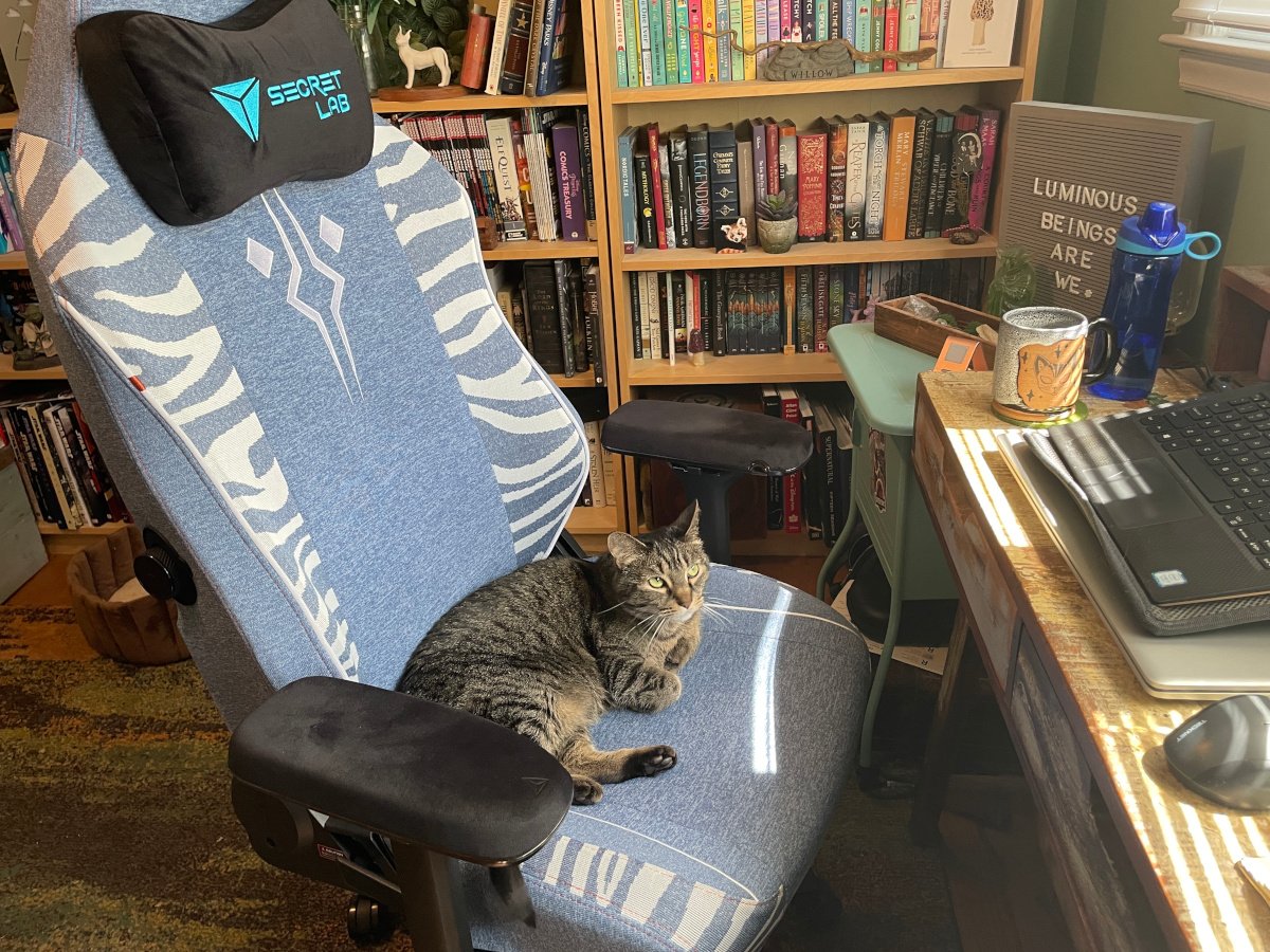 A Secretlab TITAN Evo gaming chair with a blue Ahsoka Tano SKINS cover sitting in front of a desk and bookshelf with a tabby cat sitting in it