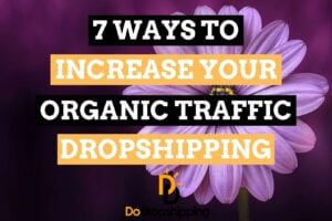SEO for Dropshipping Stores | Get Free Traffic Now!