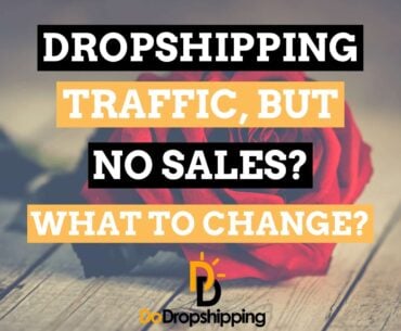 Shopify Dropshipping: Traffic, but No Sales? What to Change?