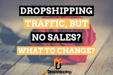 Shopify Dropshipping: Traffic, but No Sales? What to Change?