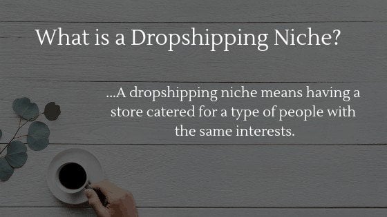 What is a dropshipping niche?