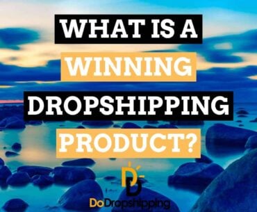 What Is a Winning Dropshipping Product + Winning Dropshipping Product Examples