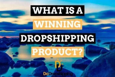 What Is a Winning Dropshipping Product + Winning Dropshipping Product Examples