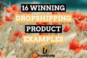 Winning Dropshipping Product Examples | Get Inspiration in 2021!
