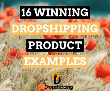 Winning Dropshipping Product Examples | Get Inspiration in 2021!