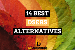 14 Best DSers Alternatives (Find the Right App)