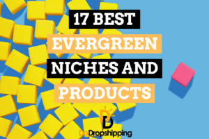 The 17 Best Evergreen Niches and Products for Dropshipping