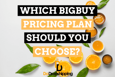 BigBuy Pricing Plans: Which One Should You Choose?