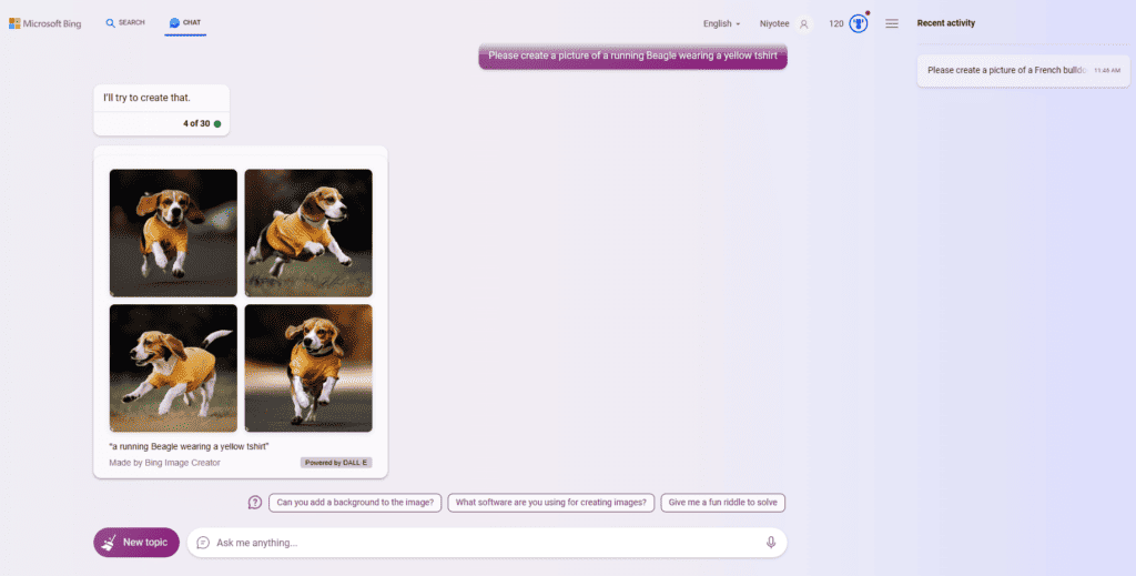 An example of a Bing chat prompt