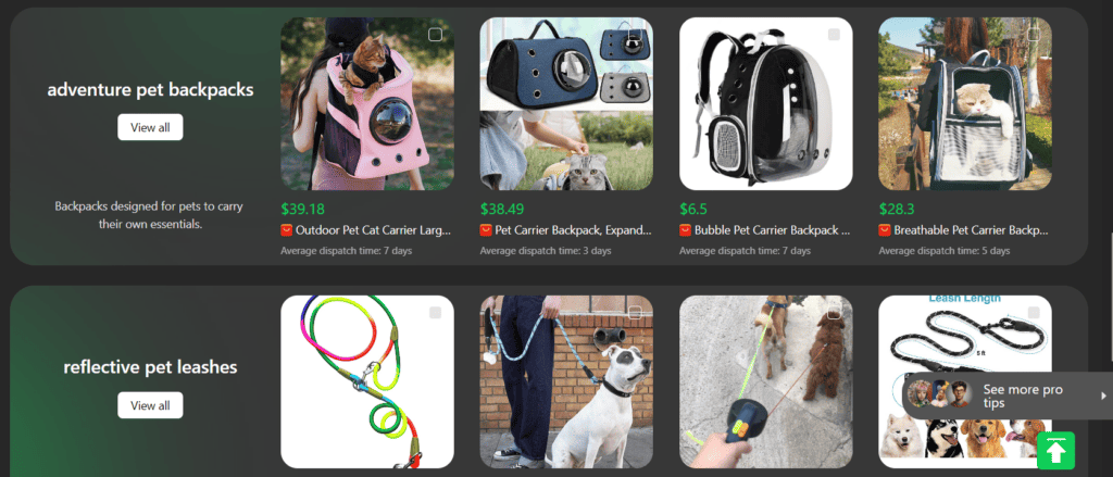 Dropshipping Copilot suggested product categories