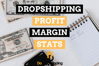 Dropshipping Profit Margin: All the Stats You Need to Know