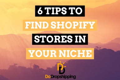 How Do You Find Shopify Stores in Your Niche? (6 Great Tips)