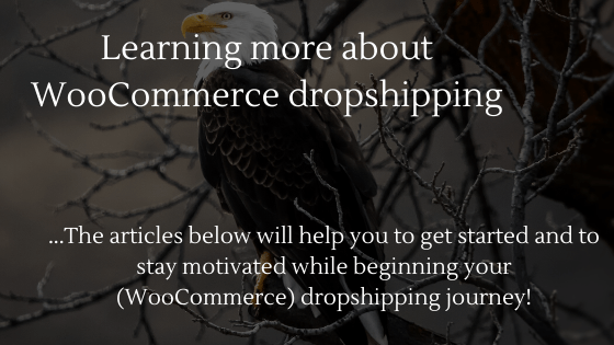 Learning more about WooCommerce Dropshipping in 2024