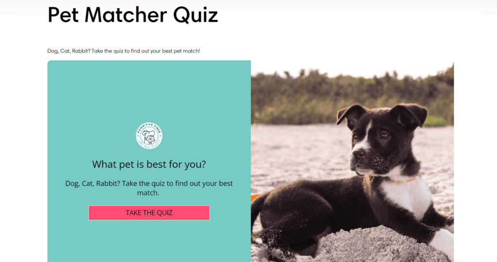 Pawsitive Vibes Pet Matcher Quiz