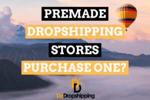 Premade Dropshipping Stores: Purchase One or Build Yourself?