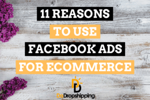 11 Reasons to Use Facebook Ads for Your Ecommerce Store