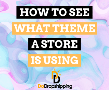 How Do You See What Theme a Shopify Store Is Using?