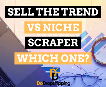 Sell The Trend vs Niche Scraper: Which One to Pick?