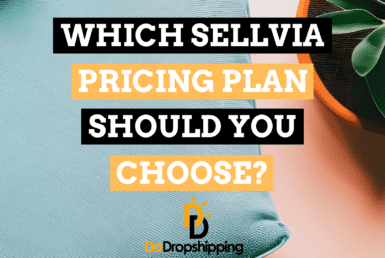 Sellvia Pricing Plans: Which One Should You Choose?
