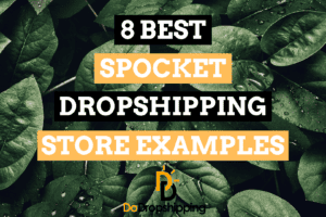8 Best Spocket Dropshipping Store Examples