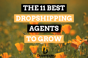 The 11 Best Dropshipping Agents to Grow Your Store