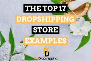 The 17 Top Dropshipping Store Examples (Get Inspired Now)
