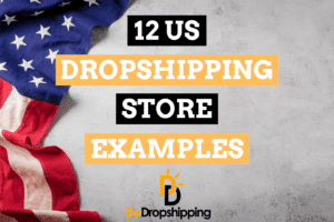 The 12 Best Dropshipping Store Examples in the US