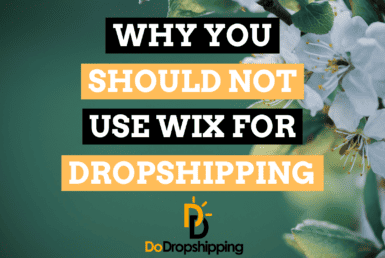 Why You Should Not Use Wix for Dropshipping