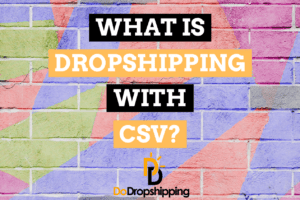 Dropshipping With CSV: What Is It & Should You Use It?