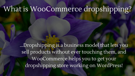 What is WooCommerce dropshipping?