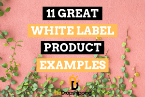 11 Great White Label Product Examples to Sell Online
