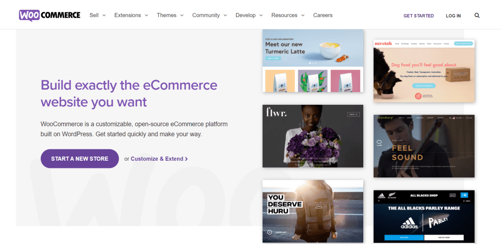 Homepage of WooCommerce